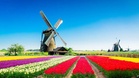 In Europe, this country has just been named the safest in the world, overtaking Iceland (it’s famous for its bicycles and tulips!)