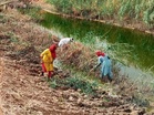 Divisive scheme : MGNREGA substitute triggers disagreement