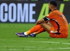 Netherlands show respect for Morocco as Gakpo set to play