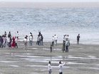 From seaside escape to global attraction: Gujarat's Dumas beach emerges as world-class tourism destination
