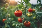 IIT Mandi scientists discover cellular signature of anaesthesia in plants, opening new frontiers in consciousness research
