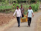Gujarat's Mandap Scheme boosts vegetable farming, strengthens tribal livelihoods in Valsad
