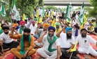 PSPCL promises 8-hour power supply to agitating farmers in Jalandhar