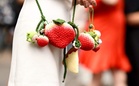 Why do they eat strawberries and cream at Wimbledon? The history behind the tradition