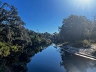 Swimmer dies after being ripped limb-from-limb by alligator in blood-curdling attack in front of friends