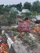Farmer killed after unidentified vehicle rams tractor-trailer near Kotkapura