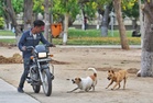 Villagers no longer need long trips for anti-rabies vaccination