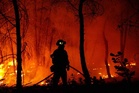 Man and boy die in wildfire near Thessaloniki in Greece