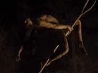 'Werwulf' trailer: Aaron Taylor-Johnson transforms into terrifying creature in Robert Eggers' horror film