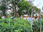 Over 1,200 Himachal farmers benefit from ICAR-CPRI’s ‘Khet Bachao Abhiyaan’