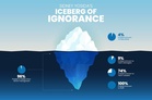 Beneath the surface: The iceberg every aspirant must conquer