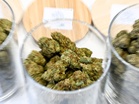 Cannabis worth $1.2m seized at port of Hamburg, 8 arrested in Poland