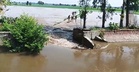 400 acres of paddy submerged after canal breach in Ferozepur; farmers seek compensation