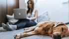 RSPCA warns owners of "ticking time bomb", as AI pet searches soar