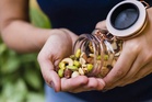 86% Indians prioritise protein while choosing snacks: Report