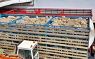 Valley’s mutton crisis ends: Punjab govt revokes 4% tax on vehicles transporting livestock
