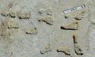 Ancient Mud in New Mexico Confirms 23,000-Year-Old Human Footprints with New Dating Evidence