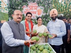 Delhi CM Rekha Gupta inaugurates 35th Annual Mango Festival, says "Mango Diplomacy" given new identity to India's culture