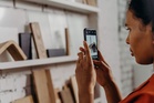 Household Bug Identification Applications: Features and User Considerations