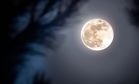 A Brilliant Buck Moon Will Rise This Month: Here’s When You Can See It!
