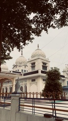 A reru tree in Doraha that once lent its shade to Guru Gobind Singh