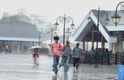 Yellow alert in 8 Himachal districts as rain, thunderstorms set to continue
