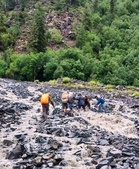 7 tourists from Punjab rescued from swollen stream in Himachal’s Kangra