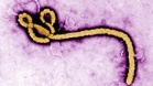 France's first detected Ebola patient recovers, leaves hospital