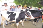 NDRI promises farmers a ‘better calf’, bets on new breeding model to improve livestock yield, incomes