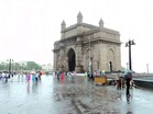 63-year-old dies after tree collapses on shop as incessant rain wreaks havoc in Mumbai