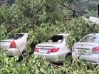 142 trees uprooted, 2 killed as heavy rains continue to batter Mumbai; civic body on high alert