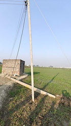 Farmer electrocuted while irrigating fields in Fatehgarh Sahib