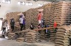 Punjab faces grain storage crisis ahead of paddy procurement