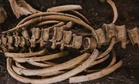 Scientists Found What May Soon Replace Chemicals in Museums to Clean Priceless Skeletons