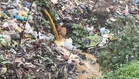 Baddi pharma unit lets out untreated effluent into nullah, notice issued