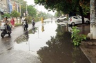 Mild showers boost paddy transplantation in Amritsar