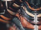 Leather, footwear industry should target USD 15 billion in exports: Piyush Goyal