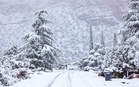 Storm Warning Issued: Up To 28 Inches Of Snow And 80 MPH Winds Expected This Weekend