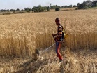 Uttar Pradesh: Farmers to be provided with 100 battery powered E-Brushcutters to mitigate stubble burning