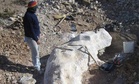 In the Middle of His Farm in Patagonia, a Shepherd Found a 20-Meter Dinosaur That Doesn’t Fit Any Known Group