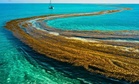 There Is Only One Sea on Earth That Touches No Land, and Its Borders Don’t Truly Exist