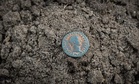 A 13-Year-Old Stumbles Upon a 2,300-Year-Old Greek Coin on the Streets of Berlin That Wasn’t Meant to Be There