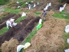 India's farming moves beyond tradition to smart agriculture