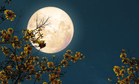 Two Full Moons Will Light Up May 2026 Delivering A Rare Astronomical Moment: Here’s When To Watch!