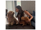 Ananya Panday shares adorable pictures with her pet dogs
