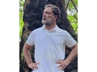 Rahul Gandhi alleges "destruction dressed in development's language" in Great Nicobar, calls project a 'scam'