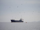 Iranian supertanker 'HUGE' bypasses US blockade with USD 220 million oil cargo, says TankerTrackers