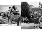 Indian children's 'jumbo' gift that brought joy to Japan post World War 2