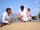 MP CM Yadav inspects wheat procurement centre in Ujjain, assures smooth purchase for farmers