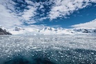 Antarctica’s tourism boom raises concerns about contamination and disease
